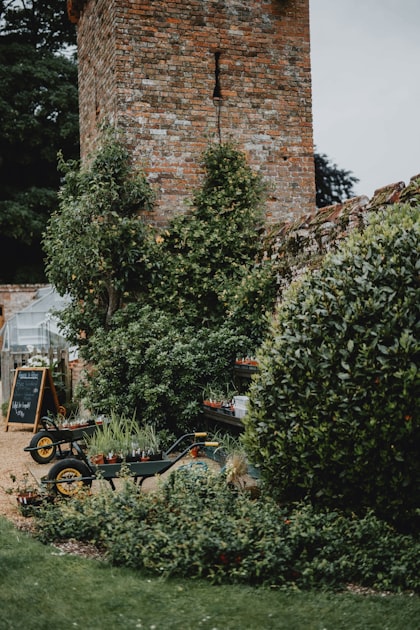 Eco-Friendly Glamping Experience